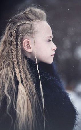 Braids with Shaved Sides