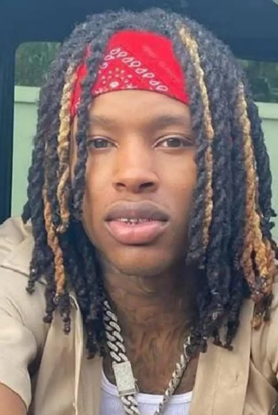 What i need do to get King Von Hair Style? : r/Dreadlocks